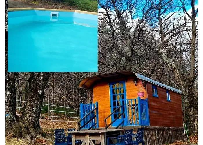 Roulotte La Bleuet Avec Piscine