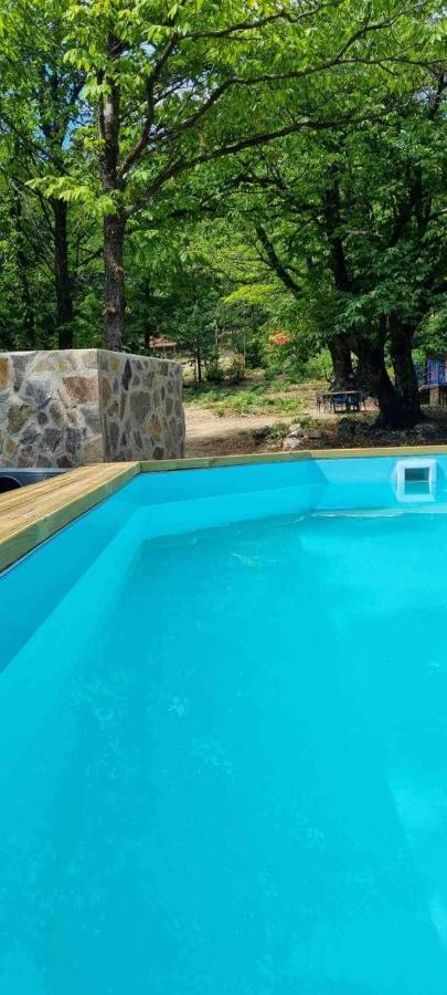 Roulotte La Bleuet Avec Piscine Camping