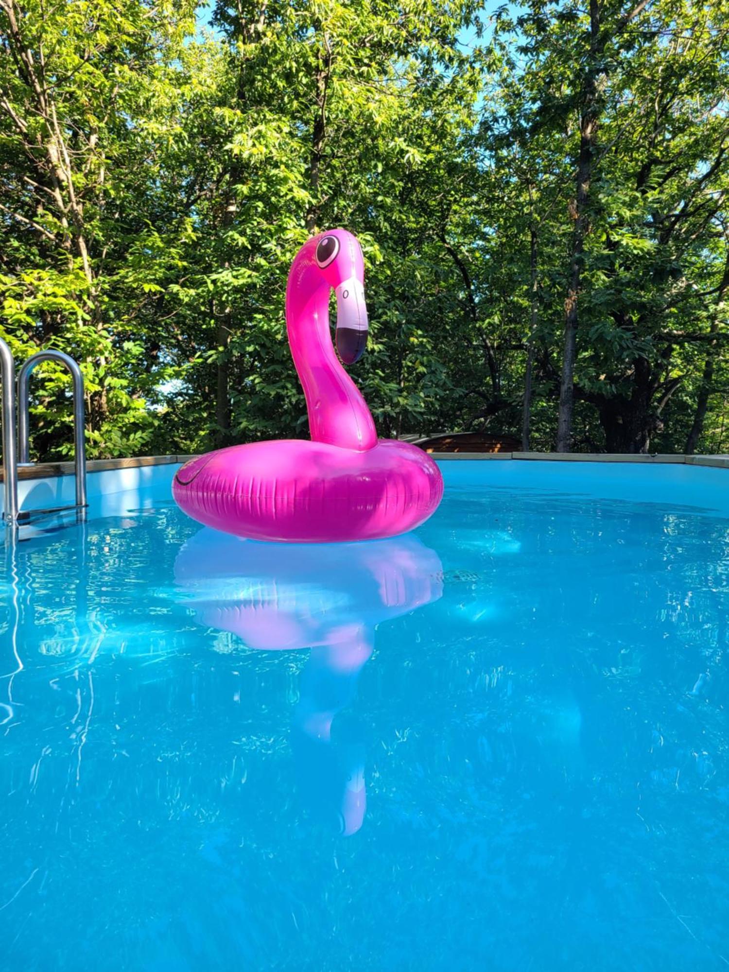 Roulotte La Bleuet Avec Piscine Camping